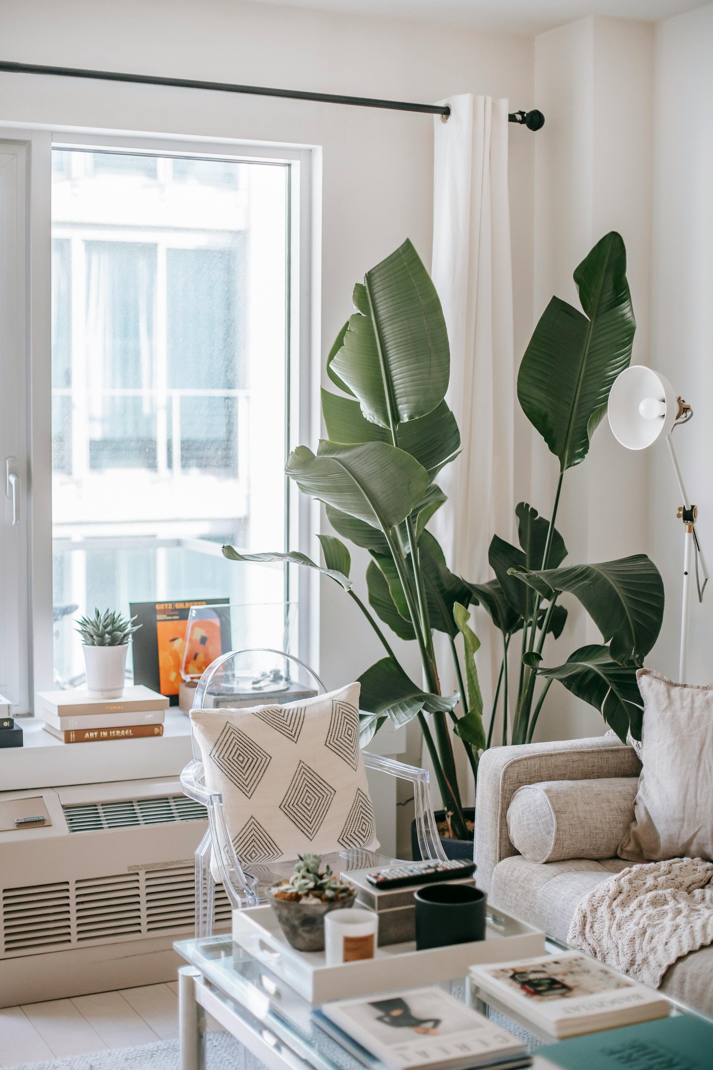 Bird of Paradise Suite