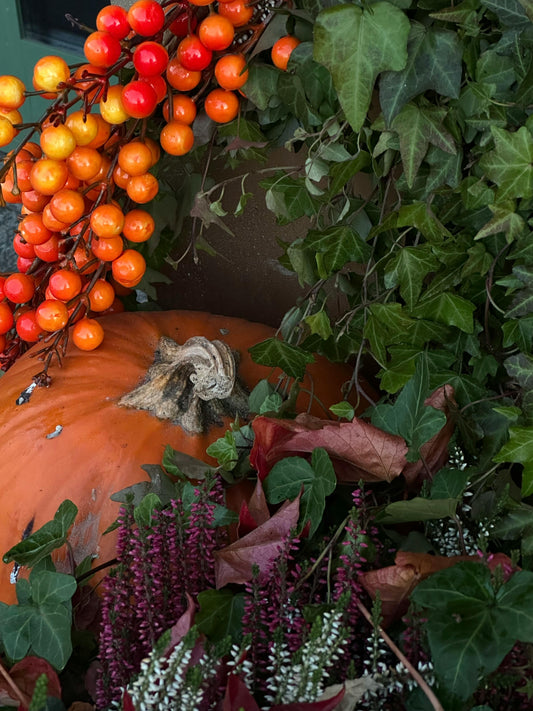 Autumn's Garden
